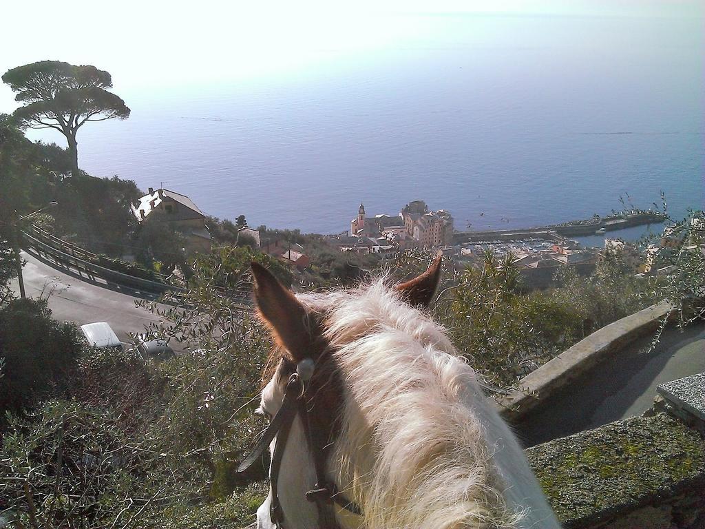 Sul Mare Holiday home Camogli